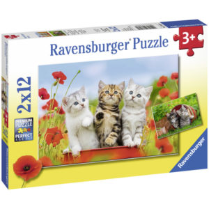 Puzzles 2 x 12 pièces Ravensburger